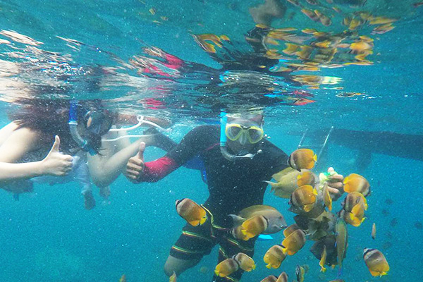 Gamat Bay Nusa Penida
