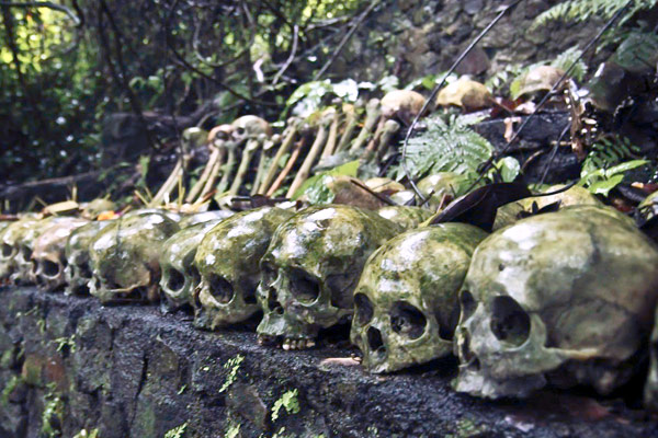 See All The Skulls in Trunyan Village Bali