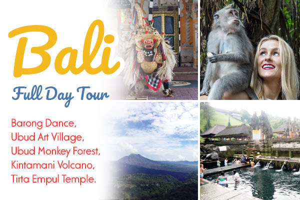 Full Day: Barong Dance, Ubud Monkey Forest, Kintamani Volcano, Tegalalang Rice Terrace, Tirta Empul