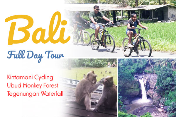 Full Day: Kintamani Cycling, Ubud Monkey Forest, Tegenungan Waterfall
