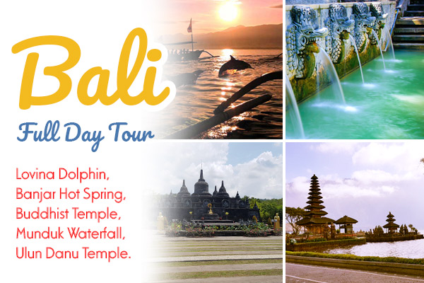 Full Day: Lovina Dolphin, Banjar Hot Sping, Buddhist Temple, Munduk Waterfall, Ulun Danu Temple