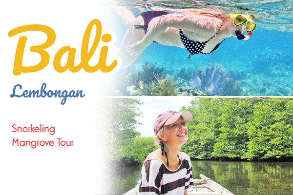 mangrove snorkeling nusa lembongan